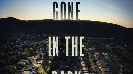 I'll Be Gone in the Dark (2020) poster