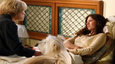 Chicken Noodle Heads (2005) - Episode 8 poster and promotional image