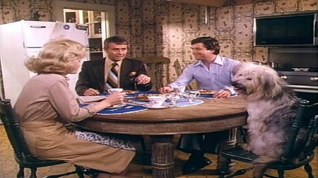 Here's Boomer Évad 1