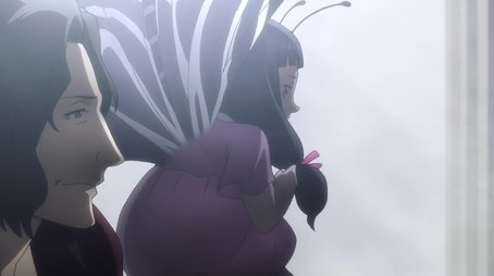 Pet17