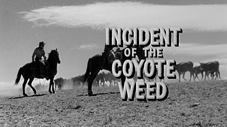 Incident of the Coyote Weed (1959) - Episode 11 poster and promotional image