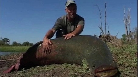 River Monsters Сезон 0