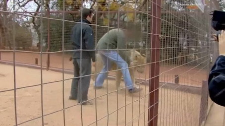 Bear Grylls: Extreme Survival Caught on Camera Сезон 1