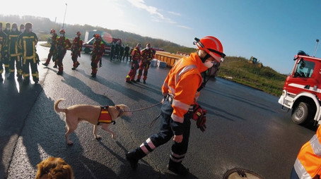 Feuer & Flamme Сезон 4