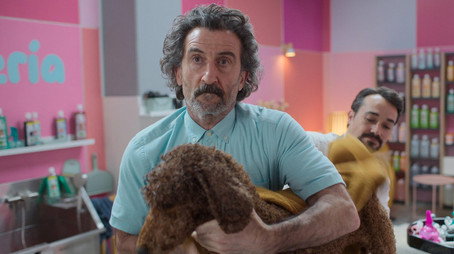 Starý pes, nové kousky Sezóna 1