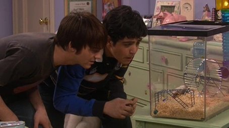 Racheakt um Hamster Hervay