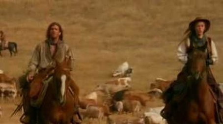 The Cattle Drive (1)