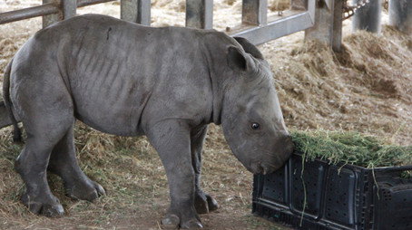 Secrets of the Zoo: Tampa Stagione 2