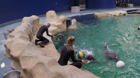 The Aquarium Stagione 1