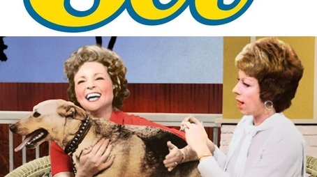 The Pet Set (1971) poster