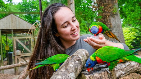 Animal Park Stagione 25