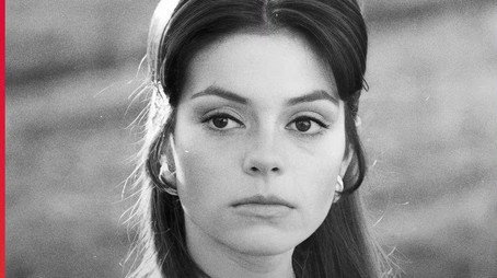 Estúpido Cúpido (2024) - Season 2 poster and promotional image