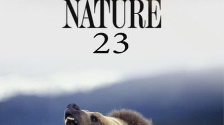 Season 23 (2004) - Season 23 poster and promotional image