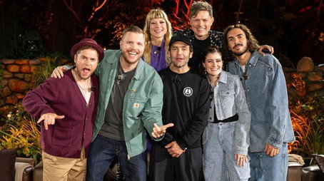 Sing meinen Song – Das Tauschkonzert Sezóna 12