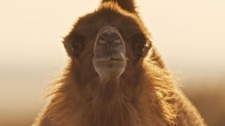 Evolution Earth Sezóna 1