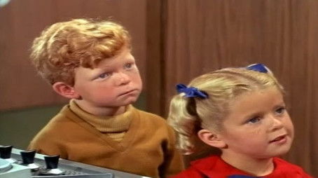 The Mrs. Beasley Story (1968) - Episode 28 poster and promotional image