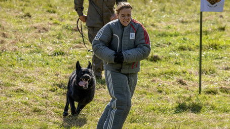 Episode 15 (2023) - Episode 15 poster and promotional image