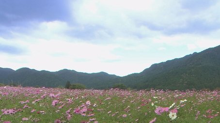 Ohara: A Mountain Village Echoing with Buddhist Chants (2017) - Episode 1 poster and promotional image