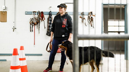 L'académie Mira Stagione 1