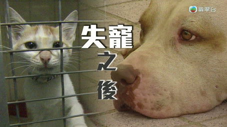 Episode 260 (2025) - Episode 260 poster and promotional image