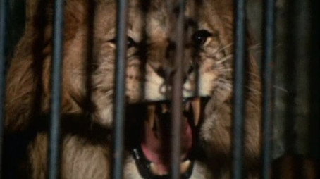 Dem Täter auf der Spur Sezóna 1