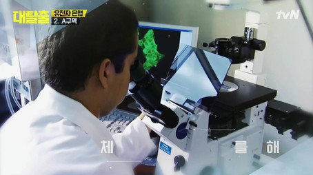 대탈출 Stagione 1