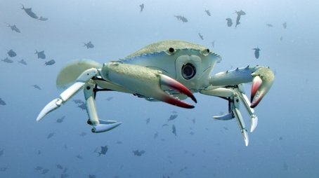Spy in the Ocean: Deep Thinkers (2023) - Episode 2 poster and promotional image