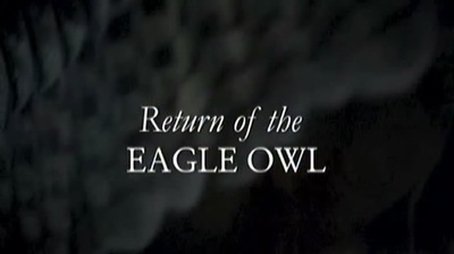 Return Of The Eagle Owl (2005) - Episode 5 poster and promotional image