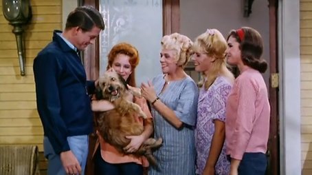 His Highness the Dog (1967) - Episode 16 poster and promotional image
