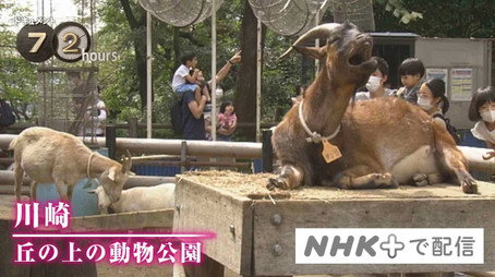 ドキュメント72時間 Évad 11