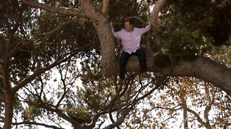 Mein Freund, der Baum