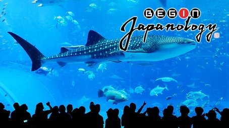 Aquariums (2012) - Episode 20 poster and promotional image