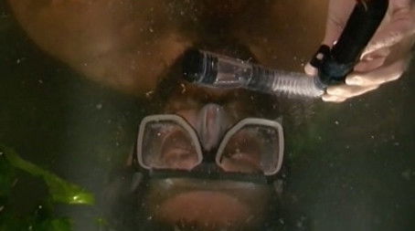 Human Aquarium (2003) - Episode 15 poster and promotional image