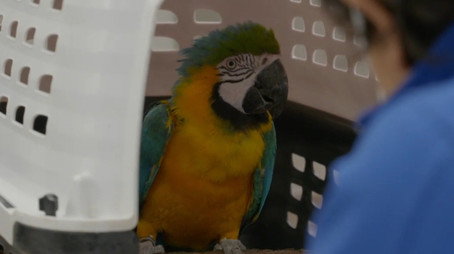 Secrets of the Zoo: Tampa Stagione 4