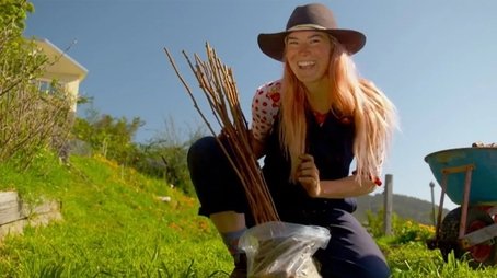 Episode 26 Raspberries, Urban Wildlife & Native Garden (2021) - Episode 26 poster and promotional image
