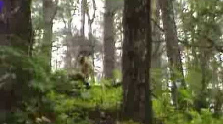 The Balloonist (1980) - Episode 1 poster and promotional image