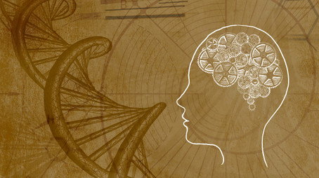 Inner Evolution Évad 1