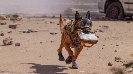 Černá srdce Sezóna 2