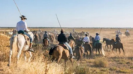 Abenteuer Spanien Сезон 1