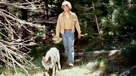 The Flight of the Grey Wolf (2) (1976) - Episode 17 poster and promotional image