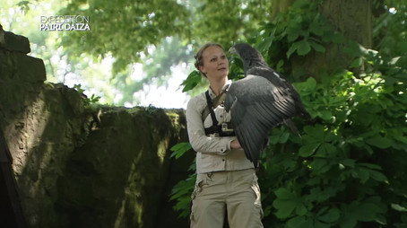 Expédition Pairi Daiza Сезон 1