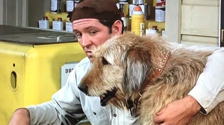 A Man's Best Friend (1965) - Episode 12 poster and promotional image