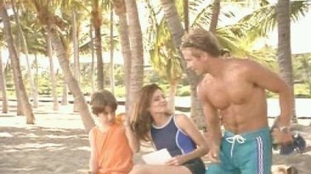 Timmy und die Delphine