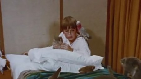The Medicine Man (1969) - Episode 7 poster and promotional image