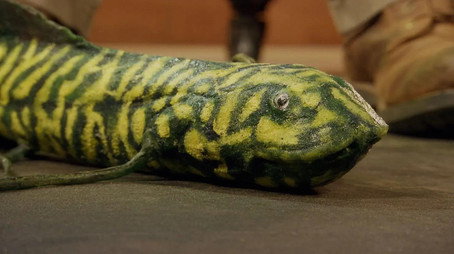 Andy's Dinosaur Adventures Сезон 1