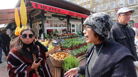 Paza Bazaar Сезон 1