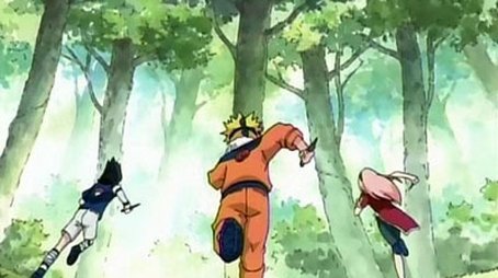 The Forest of Chakra