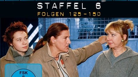 Season 6 (2000) - Season 6 poster and promotional image