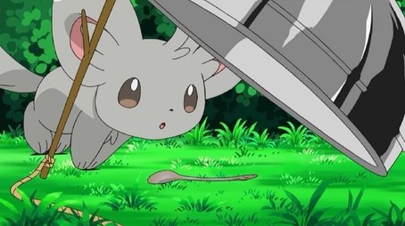 Minccino–Neat and Tidy!