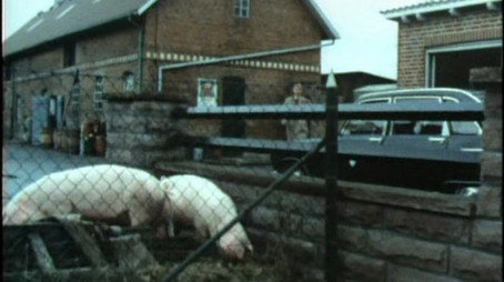 Dem Täter auf der Spur Sezóna 1